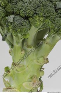 broccoli 0023